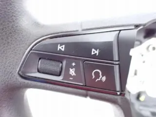 5F0419091AG 5F0419091 Руль Seat Leon 3 Арт e11802605, вид 3