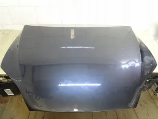1069531-E0A Капот Tesla model X Арт e11770010, вид 1