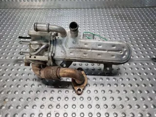 038131513AD Радиатор EGR Volkswagen Golf 5 Арт e11769128, вид 1