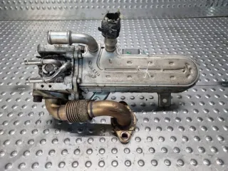 038131513AD Радиатор EGR Volkswagen Golf 5 Арт e11769127, вид 1