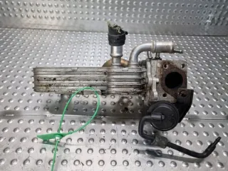 038131513AD Радиатор EGR Volkswagen Golf 5 Арт e11769127, вид 4