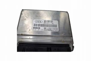 8E0909557 Блок управления двигателем Audi A4 B6 Арт e11696883, вид 2