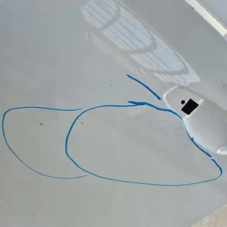 657831311 Дверь передняя левая Skoda Scala Арт e11687919, вид 4