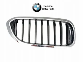 51137383520 Решетка радиатора BMW 5 G30/G31 Арт e11684842, вид 1