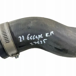 LX616C646PA Гофра инжектора Ford Kuga 3 Арт e11651405, вид 5