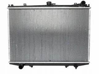 785666369900 Радиатор основной Nissan Terrano 3 Арт AL13239529614
