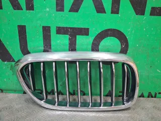 51137383520, 8 решетка радиатора BMW 5 G30/G31 Арт ARM376577, вид 1