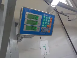 BP4L55210G Пепельница Mazda 3 BK Арт BIT769924, вид 7