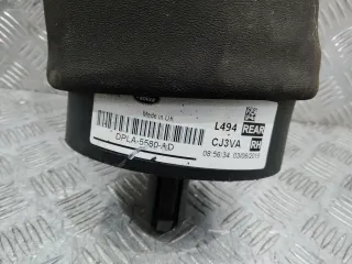 DPLA5580AD Пневмоподушка Land Rover Range Rover Sport 2 Арт 102563, вид 2