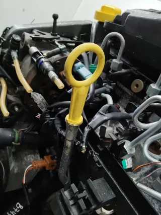 424906 Щуп двигателя Renault Twingo 2 Арт 87483, вид 2
