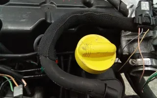  Щуп двигателя Renault Megane 2 Арт 2_75345