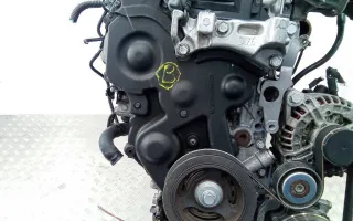 9643649280 Защита (кожух) ремня ГРМ Citroen C4 1 Арт 2_65605