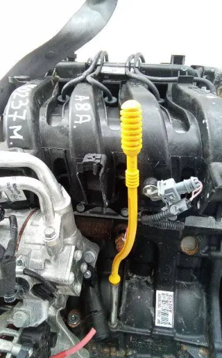8200255423 Щуп двигателя Renault Clio 3 Арт 2_60242