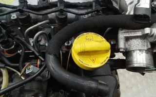 Щуп двигателя Renault Megane 2 Арт 2_60209