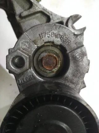 117501083R Ролик натяжителя Renault Duster 1 1.5л Арт 2_13097, вид 2