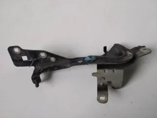 654000004R Петля капота Renault Scenic 3 Арт 2_3496, вид 1