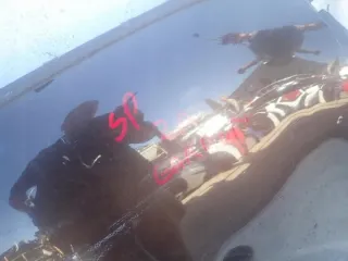  Капот MINI Cooper R56 Арт e10637501, вид 14