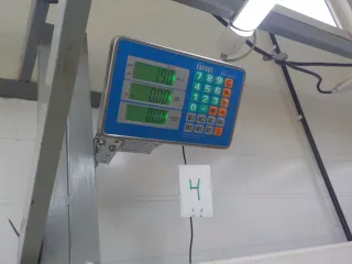 ZJ2010220 Крышка клапанная Mazda 3 BK Арт BIT770039, вид 6