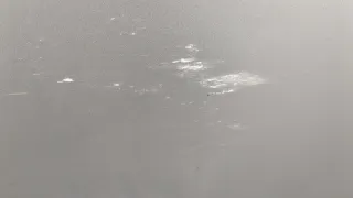 124110,13270585,13285611 Дверь задняя правая серебристая Opel Astra J Арт 20401976, вид 3
