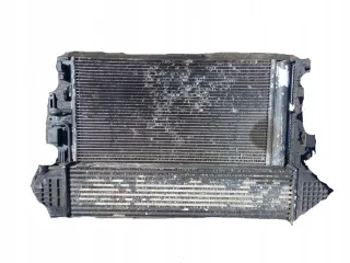  Радиатор (основной) Ford S-Max 1 Арт e6811595, вид 1