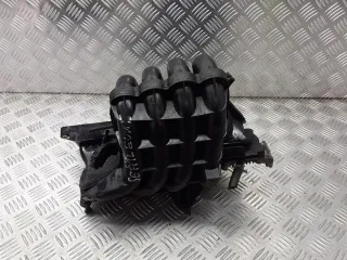 036129711EM Коллектор впускной Seat Leon 1 Арт e7885359, вид 1