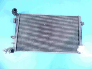  Радиатор (основной) Seat Toledo 2 Арт e8255649, вид 1