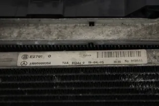 a1695000000 a1695000354 a1695001604 1137328177 Радиатор (основной) Mercedes A W169 Арт e8422357, вид 8