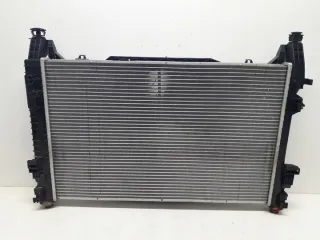 A1695002593 Радиатор (основной) Mercedes A W169 Арт e8702303, вид 5