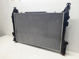 A1695002593 Радиатор (основной) Mercedes A W169 Арт e8702303, вид 7