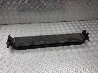 6R0121207Q Радиатор (основной) Skoda Fabia 2 Арт e9169356, вид 1