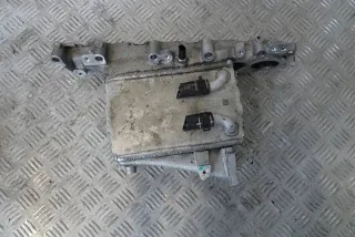 04L129766AL Коллектор впускной Volkswagen Tiguan 2 Арт e9507594, вид 1