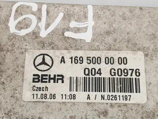 A1695000000 Радиатор (основной) Mercedes A W169 Арт e9544653, вид 5