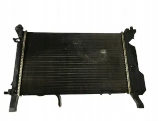 1695000303 A1695000303 A1695000604 Радиатор (основной) Mercedes A W169 Арт e9797204, вид 2