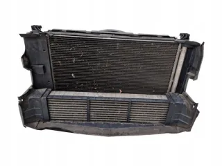 A2465000100 A2465000054 3136613378 0130308425 Радиатор (основной) Mercedes B W246 Арт e10520702, вид 1