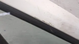 9004Z6 Дверь передняя правая белая Citroen Berlingo 2 restailing Арт 9259581, вид 4