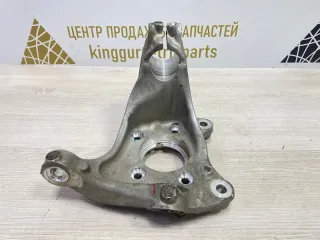 204001824AA Кулак EXEED RX Арт TP120184, вид 1