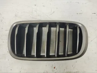 51137349393 Решетка радиатора BMW X6 F16 Арт lz191006, вид 1