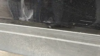  Обшивка двери задней левой (дверная карта) Volkswagen Tiguan 2 Арт 11408579, вид 2