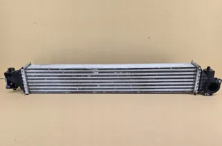 197105AAA0 HONDA31 Интеркулер Honda Civic 10 Арт e10648483, вид 1