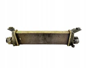 A1685000000 Интеркулер Mercedes A W168 Арт e10650364, вид 1