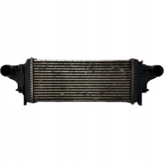  Интеркулер Mercedes ML W164 Арт e10651441, вид 1