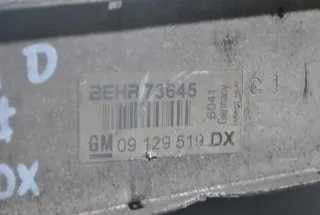 90129519DX Интеркулер Opel Corsa D Арт e10652965, вид 3