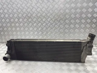 8200115540 Интеркулер Renault Scenic 2 Арт e10654599, вид 3
