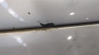 9625077877 Бампер задний серебристый Peugeot 206 1 Арт 20341236, вид 4