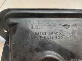 66852AM600 Воздухозаборник (наружный) Infiniti FX1  Арт E90359162, вид 2