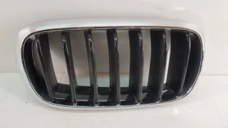 7316076 Решетка радиатора BMW X5 F15 Арт 2-77379, вид 1