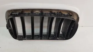 7316076 Решетка радиатора BMW X5 F15 Арт 2-77379, вид 4