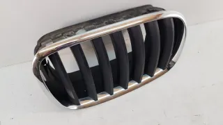 51137171396 Решетка радиатора BMW X6 E71/E72 Арт 2-92820, вид 2