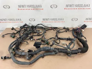 24011ZC101 Проводка двигателя Infiniti QX56 1 Арт 2-158689, вид 1