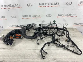 240115VG3A Проводка двигателя Infiniti J Арт 2-174773, вид 1